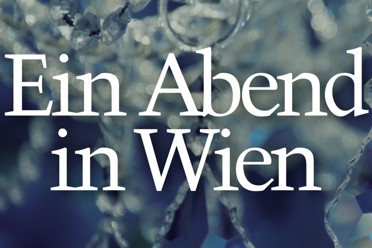 Ein Abend in Wien